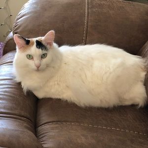 Meet your Posher, Stacie